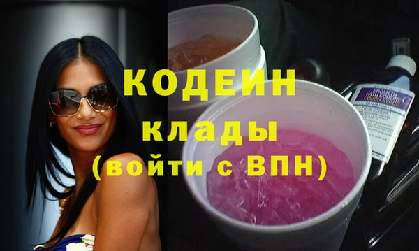 хмурый Инта