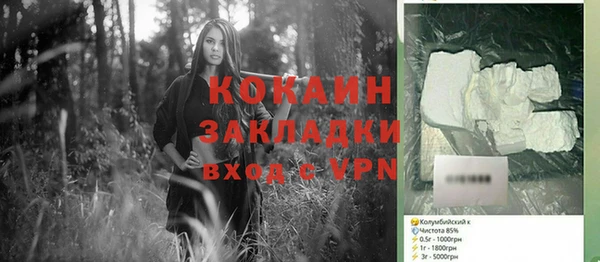 хмурый Инта