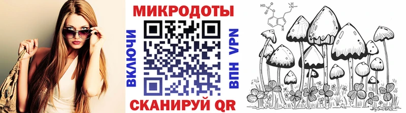 закладка  Судогда  Галлюциногенные грибы Magic Shrooms 